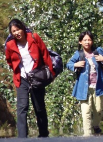 欧美福利视频一区在线
