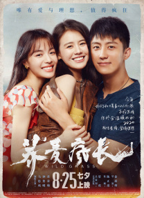 午夜毛片免费看