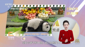 线上观看